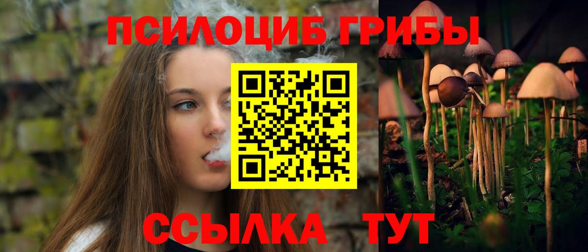 Псилоцибиновые грибы прущие грибы Ханты-Мансийск